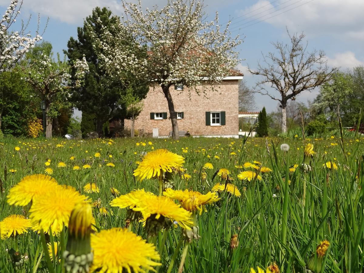 Landhaus Loewenzahn Unteregg Ngoại thất bức ảnh